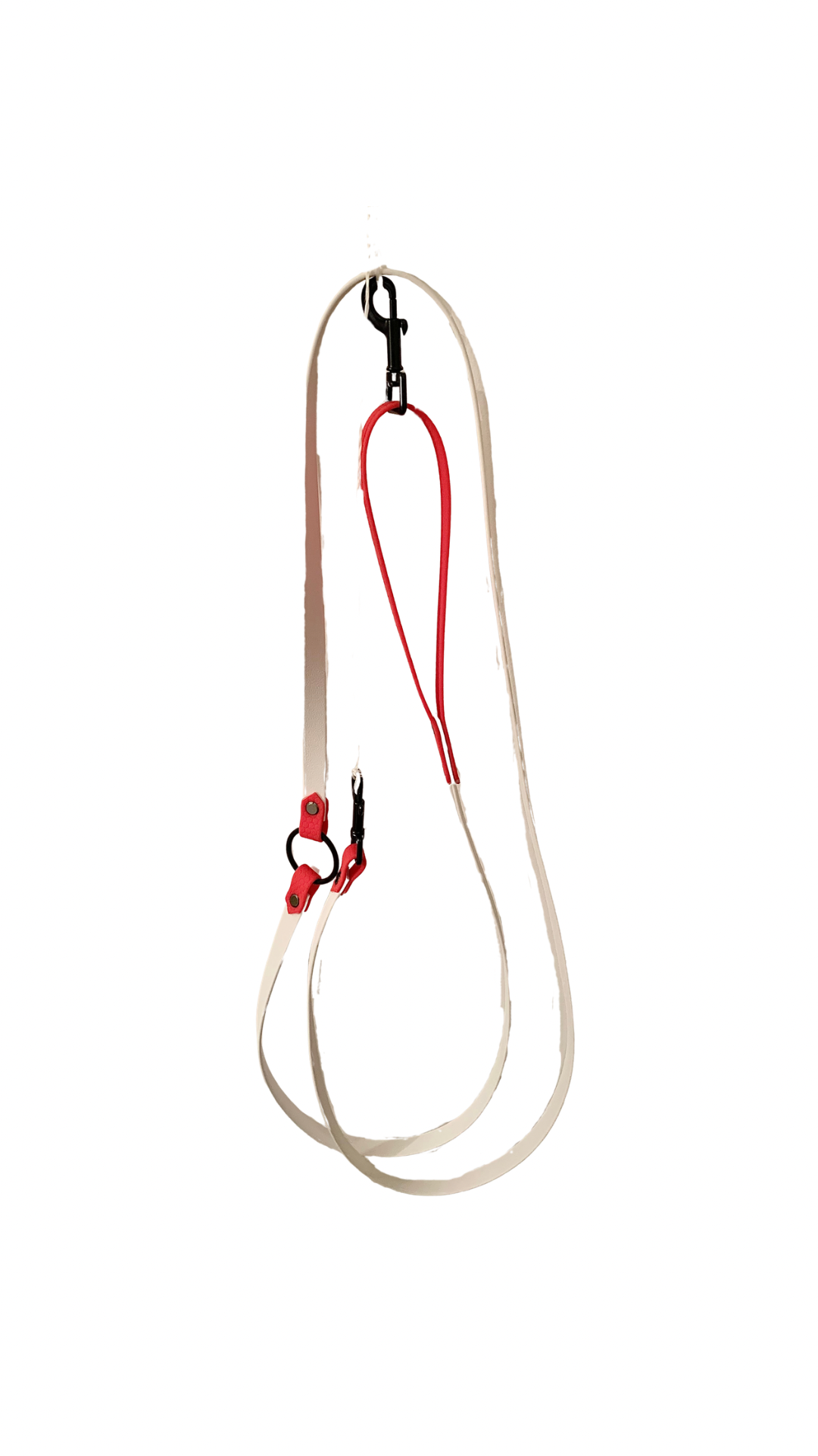 Ensemble collier et laisse de Noël