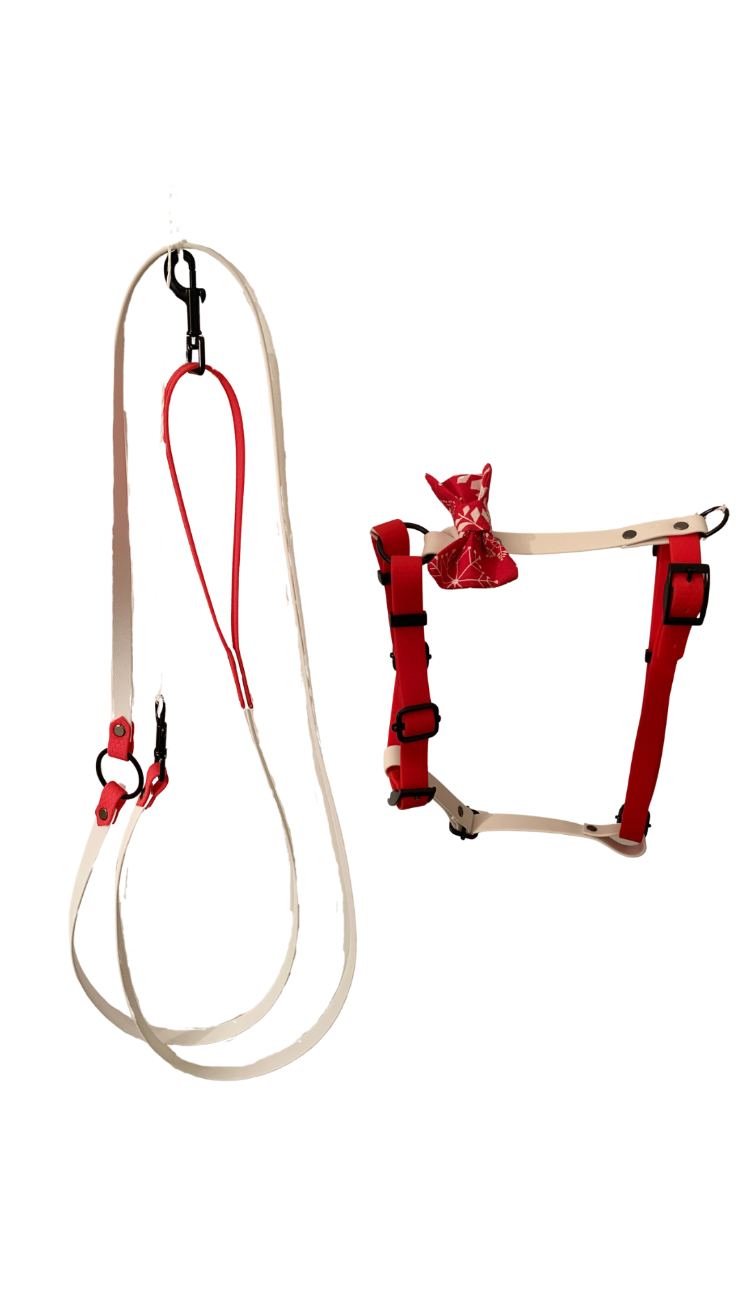 Ensemble harnais et laisse de Noël