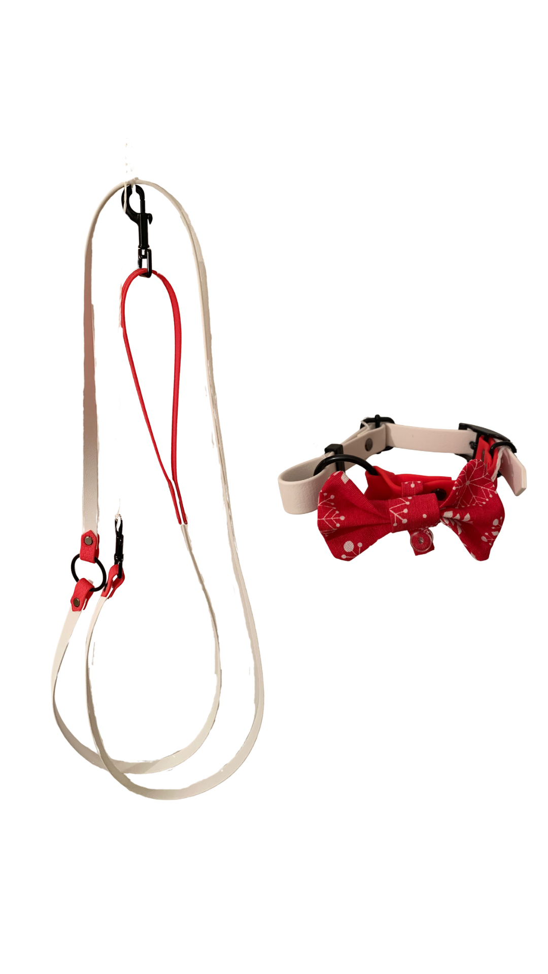 Ensemble collier et laisse de Noël