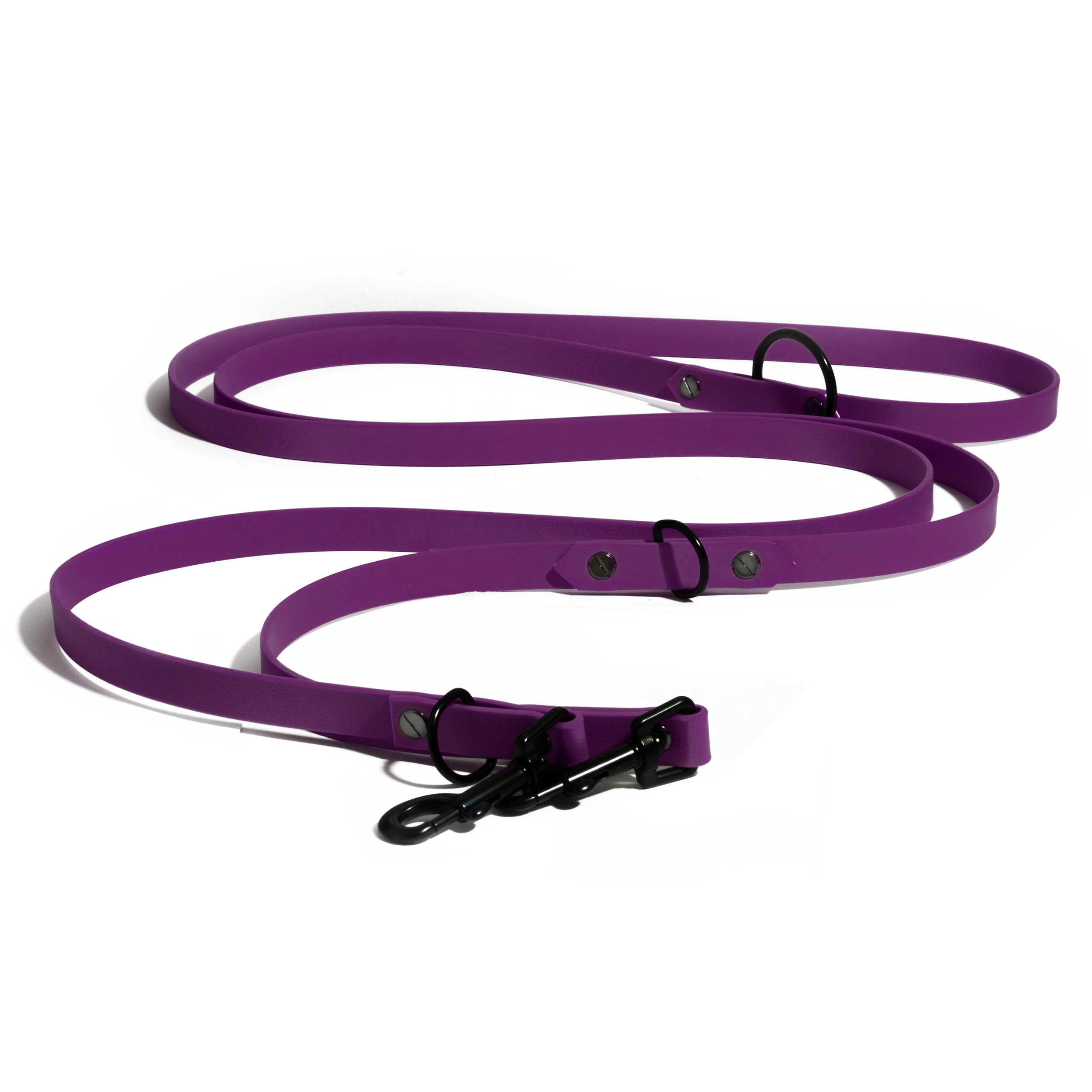 Laisse 3points Black week