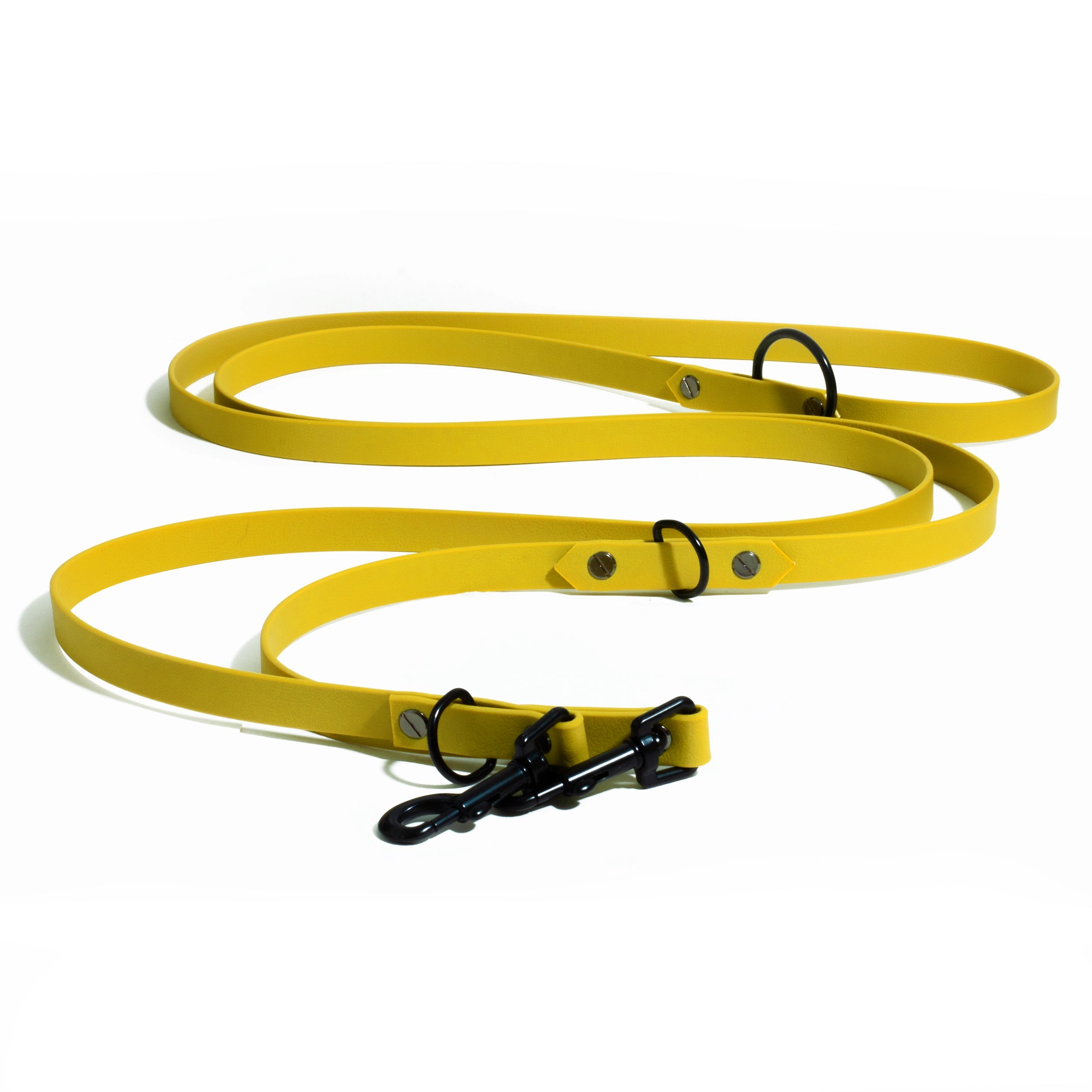 Laisse 3points Black week